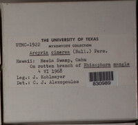 Image Associated With the Occurence